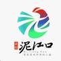 泥江口镇人民政府ico