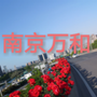 桥梁绿化ico
