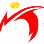 南京市网球运动协会ico