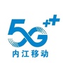 内江移动掌厅ico