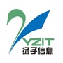 扬子信息ico