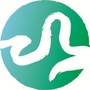 在钟山公众号ico