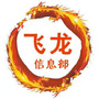 飞龙信息部ico