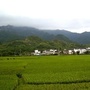 朱坊发布ico