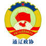 通辽政协ico
