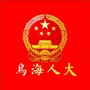乌海市人大ico