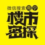 南宁楼市密探ico