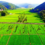 南泥湾旅游公众号ico