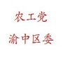 农工党渝中区委ico