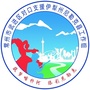 武进援疆ico