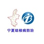 宁夏结防ico