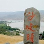 沙坡头区政府网ico