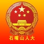 石嘴山人大ico