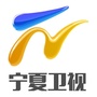 宁夏卫视ico