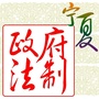 宁夏政府法制ico
