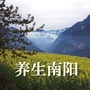 南阳君ico