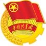 青春南阳ico
