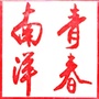 青春南洋ico