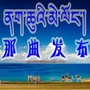 那曲发布ico