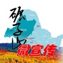 碾子山微宣传ico