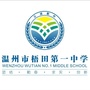 温州梧田一中ico