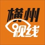 横州视线ico