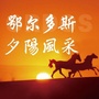 鄂尔多斯夕阳风采ico