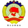 鄂尔多斯政协ico