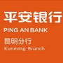 平安银行昆明分行公众号ico