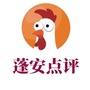 蓬安点评ico