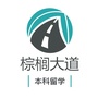 棕榈大道本科申请ico