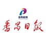 番禺日报ico