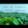 魅力潘村公众号ico