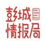 彭城情报局ico