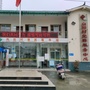 郫都区友爱镇向阳村青年ico