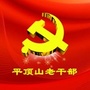 平顶山老干部ico