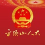 平顶山人大ico