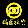 鹏鼎投资ico
