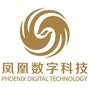 凤凰数字科技ico