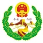 白银综治ico