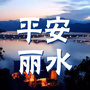 平安丽水ico