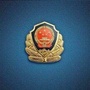 平安龙安公安ico
