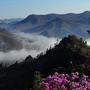 南岔政法ico