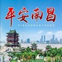 平安南昌ico