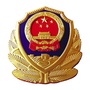 平安沙坪坝ico