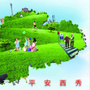 平安西秀ico