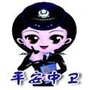 平安中卫ico