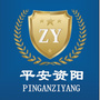 平安资阳公众号ico