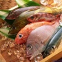 平海渔村ico