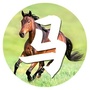 生肖马运势天天看公众号ico